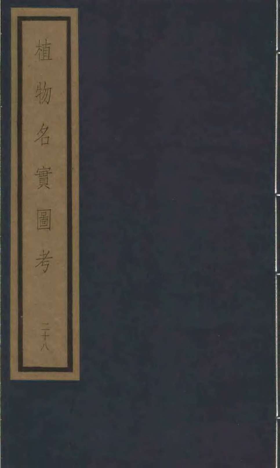 植物名实图考  25